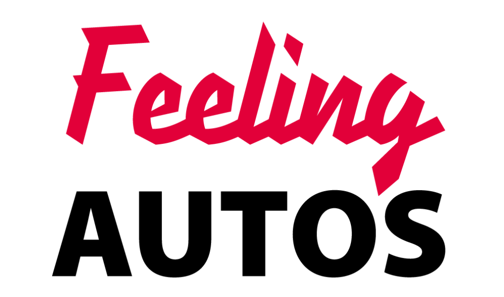 logo feeling autos saintes 2